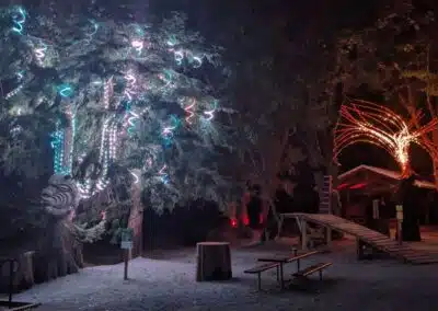 Syéxw Chó:leqw Adventure Park Night Walk